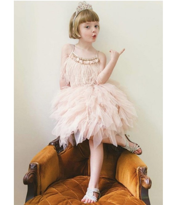 

Children's day party dresses girls feather sequins tiered tulle princess clothing high quality children rhinestone frou dress A00375, Pink