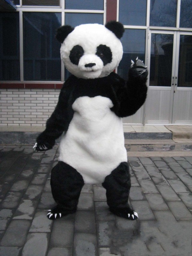 

Hot high quality Real Pictures panda mascot costume Adult Size free shipping, Black