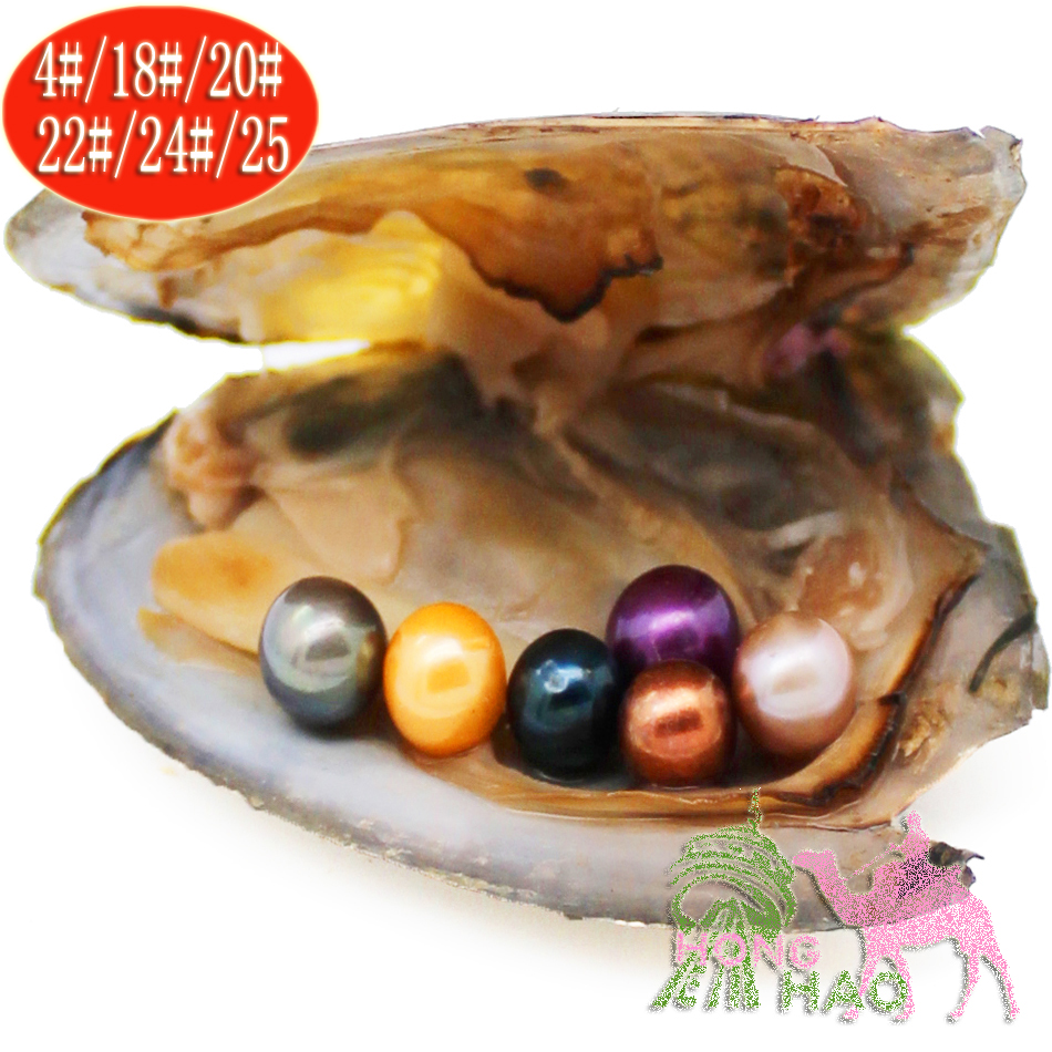 

Women's DIY Jewelry 6-7mm Dyeing 28 colors Natural Freshwater Cultured Pearl Love Pearl Beads Japan Akoya Shell Oysters