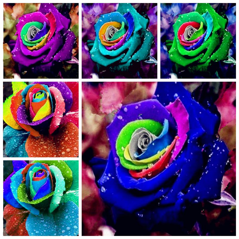 

30 Pcs Rose Seeds,Rose Flower Seeds,Indoor Bonsai Balcony Flower Seeds,24 Colour Natural Growth Pot Plant for Home Garden Decor