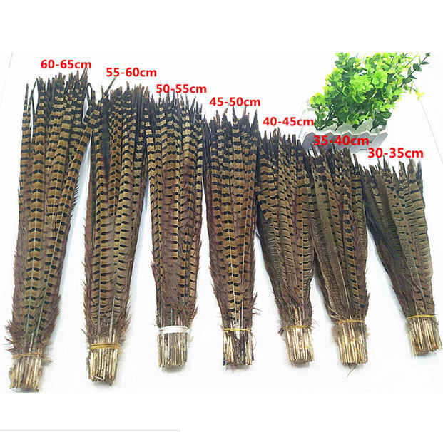 

50pcs natural color natural pheasant feathers 25-80cm / 10-32inch home wedding decoration