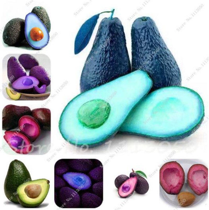 

Free Shipping 10 pcs New Rare Green Avocado Seeds Very Delicious Pear Fruit mini Seed Growing easy For Home Garden pots tree
