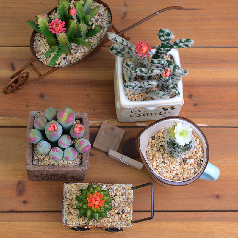 9pcs Cactus Succulents Plants Diy Accessorie