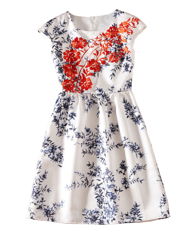 

Embroidery Women A-Line Dress Print Round Neck Dresses 04K849, As pictures