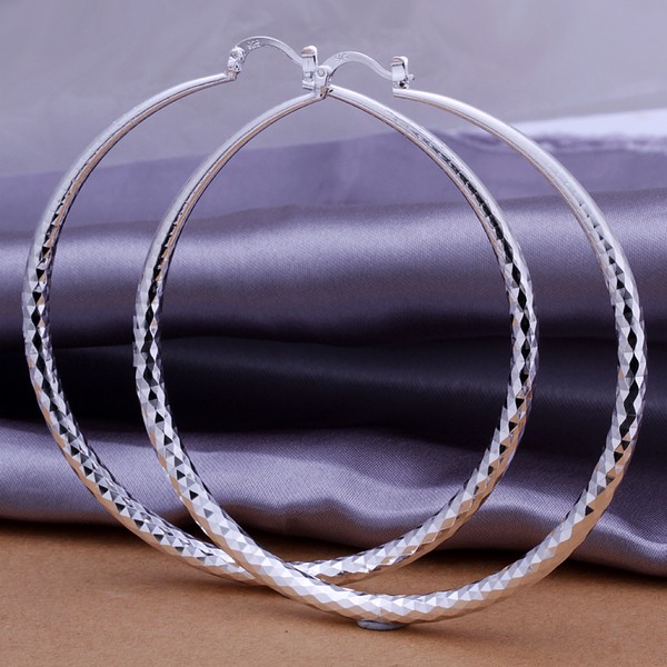 

Hot Sales 925 Silver Elegant Round Large Size Women Hoop Earrings Fashion Costume Jewelry Big Trendy Earring for Women