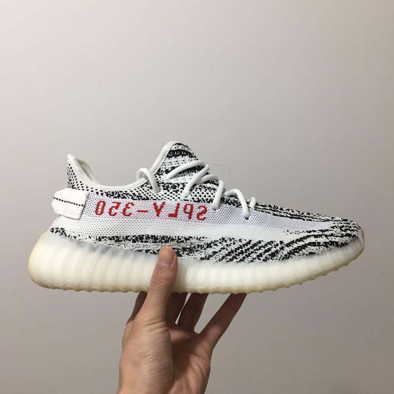 #5 Zebra CP9654