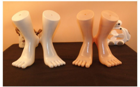 

Free Shipping!! New Style Foot Model Plastic Foot Mannequin Hot Sale Made In China