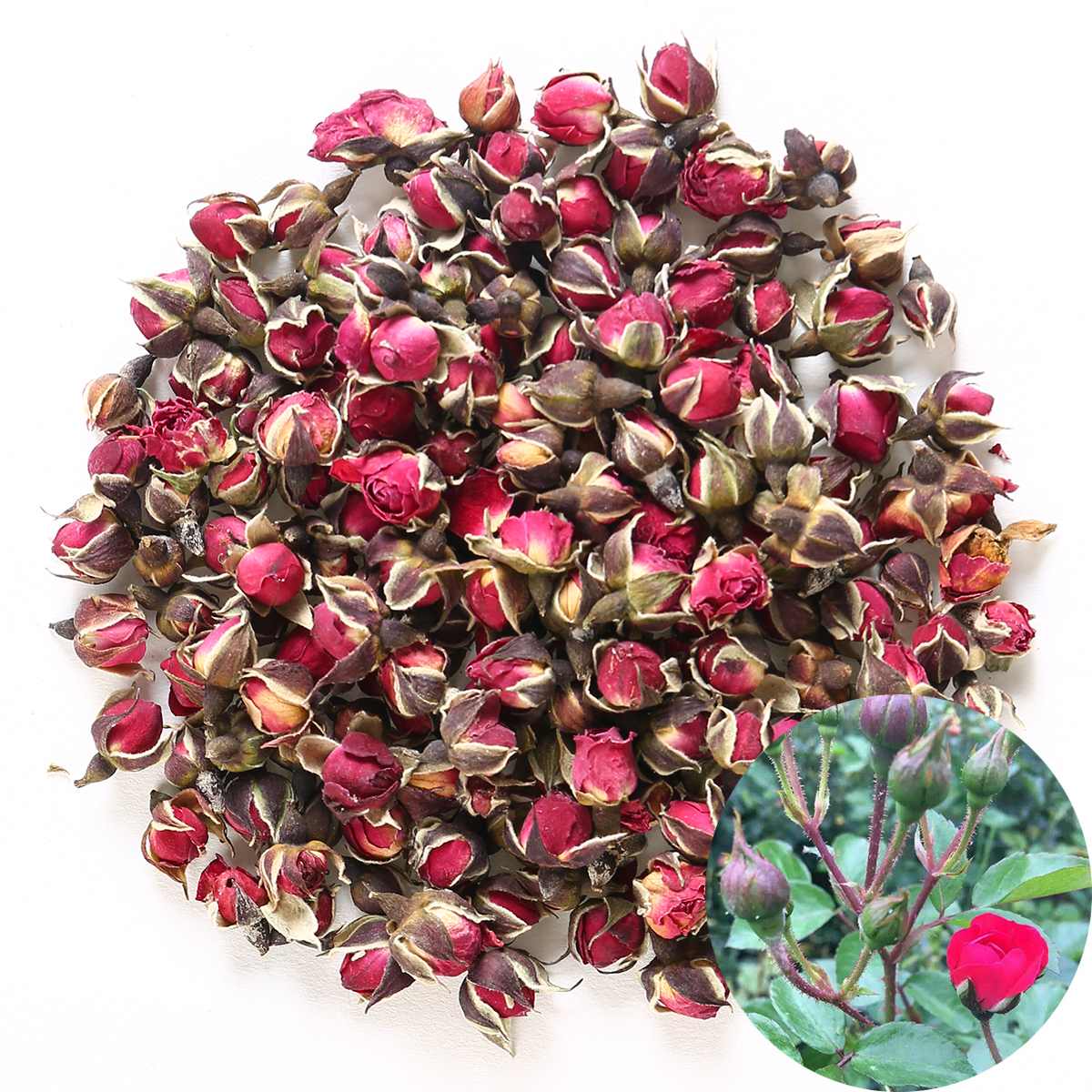 

Fragrant Natural Deep Red Rose Buds Rose Petals Organic Dried Golden-rim Rose Flowers Wholesale, Culinary Food Grade