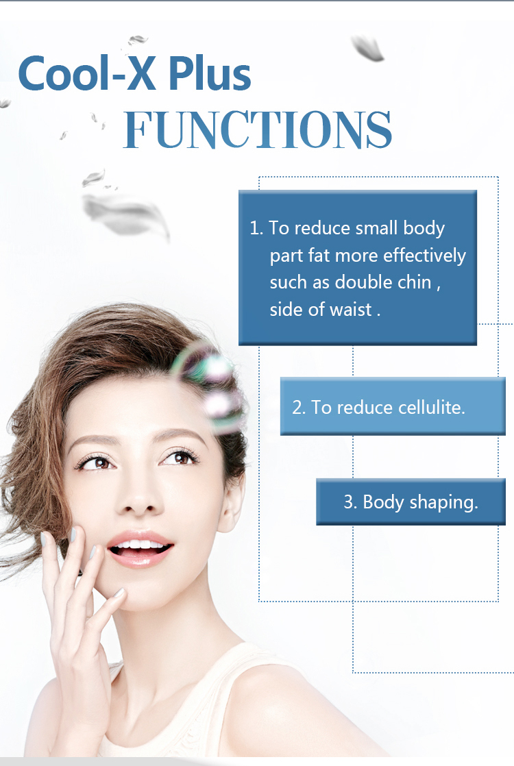 

Dual Wavelength Lipo Laser and Two Cryo Handles Cryolipolysis Body Slimming Machine cellulite reduction body fat