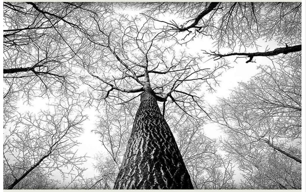 Aesthetic Black And White Wallpaper Landscape - Popular Century