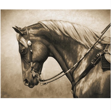 Pin De Roza Rozza Em Loshadi Cavalos Pintados Cavalos Pretos Cavalos Bonitos