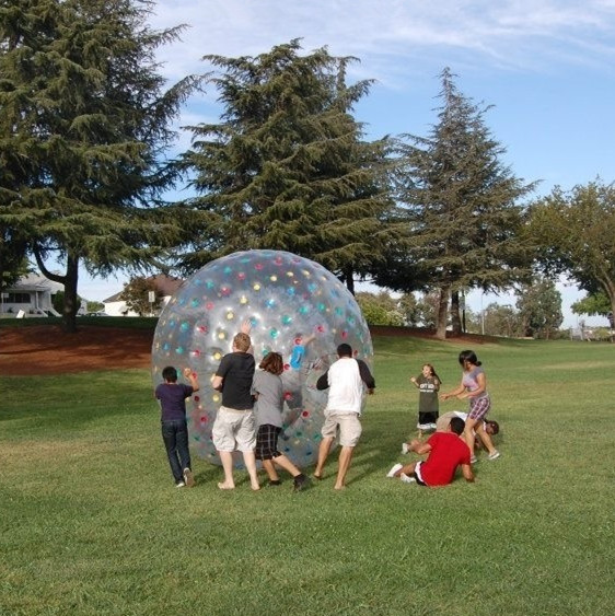 

2.5m transparent thickened inflatable zorb ball inflatable grass wave ball snowball water rolling ball a pump