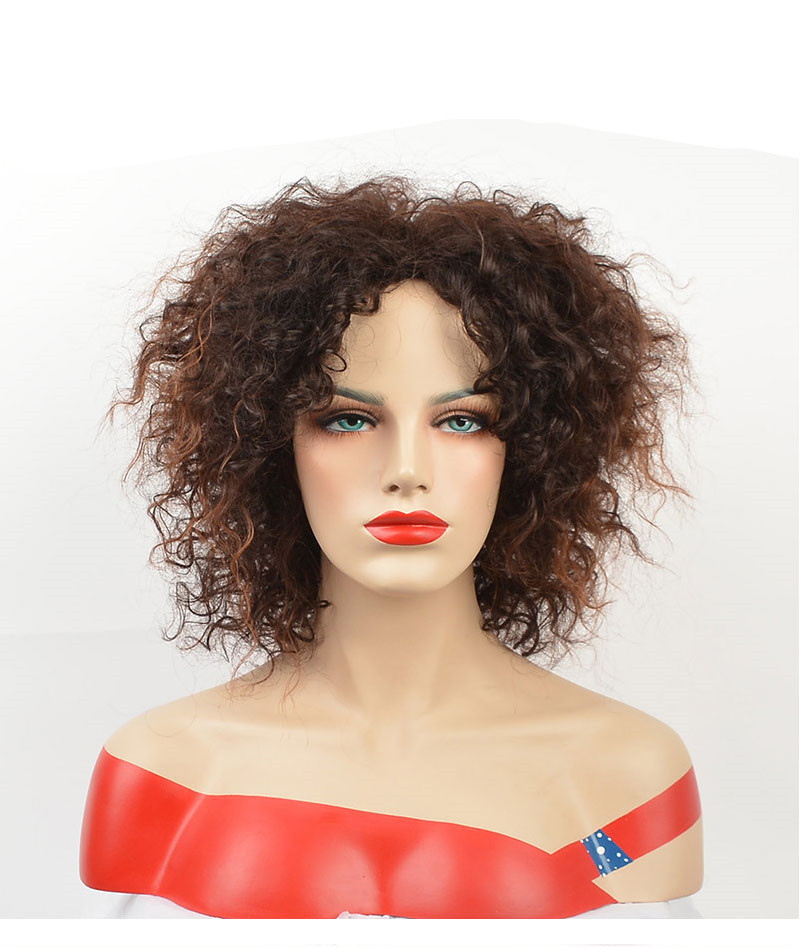 

Afro Short Curly Wigs for Black Women American Natura Fulll Ombre Brown Color Hair Synthetic Wig with Highlight, Length:12 inch