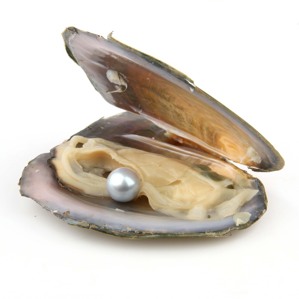 

Akoya High quality round shape pearl 6-8mm freshwater oyster 27color mixing love wish DIY cheap discount Halloween gift Christmas gift