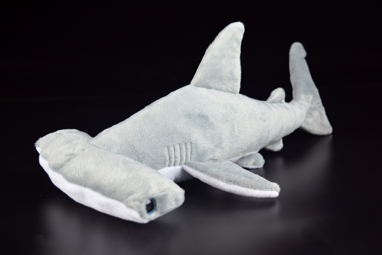 Hammerhead Shark