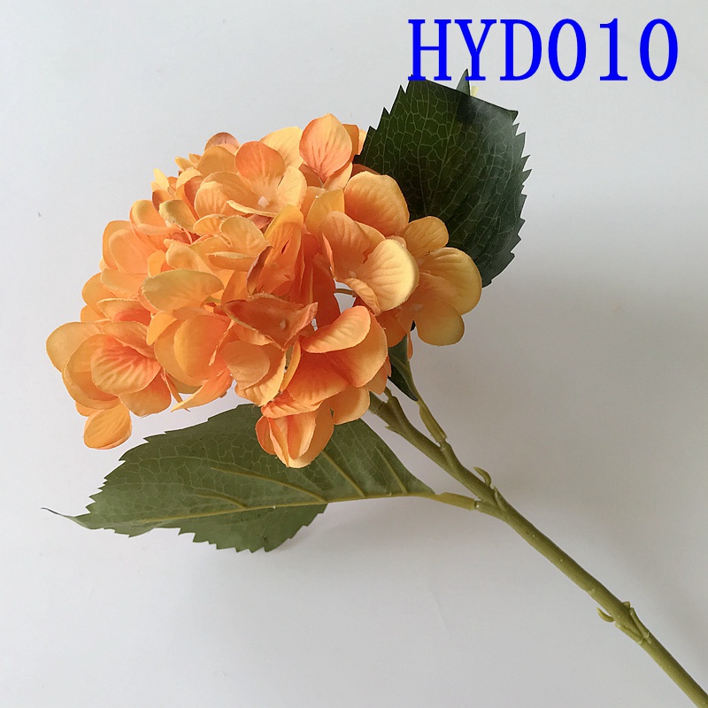 HYD010
