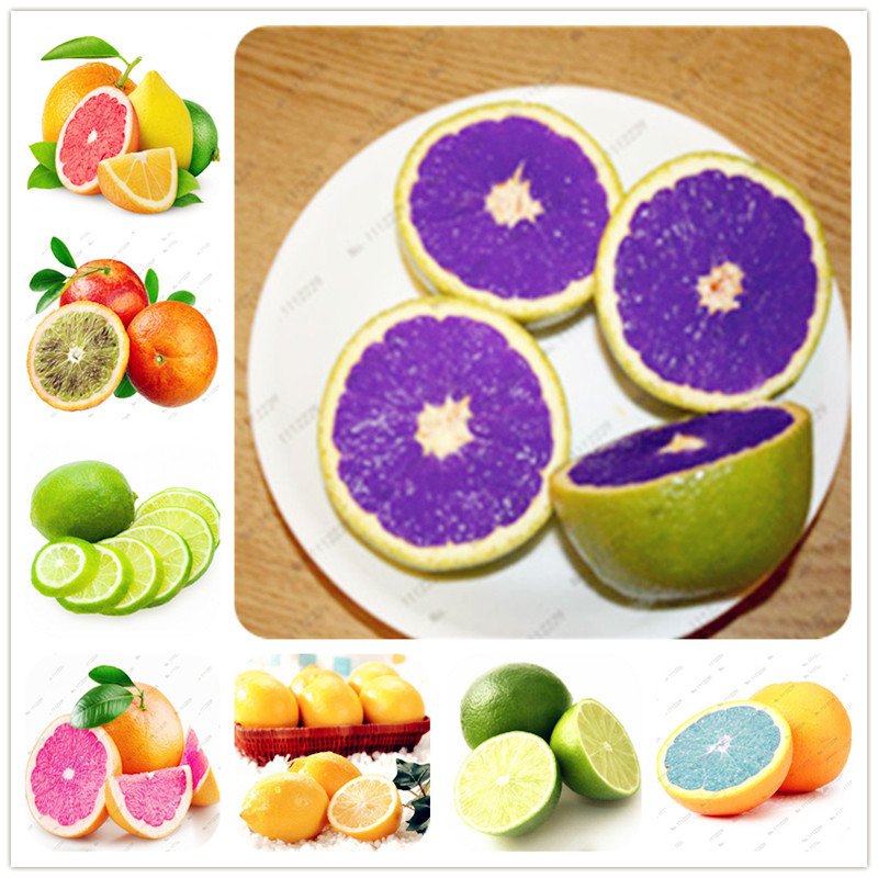 

20 Pcs/bag Edible Fruit Meyer Lemon Seeds, Exotic Citrus Bonsai Lemon Tree Fresh Seeds fruit vegetable seeds for home garden