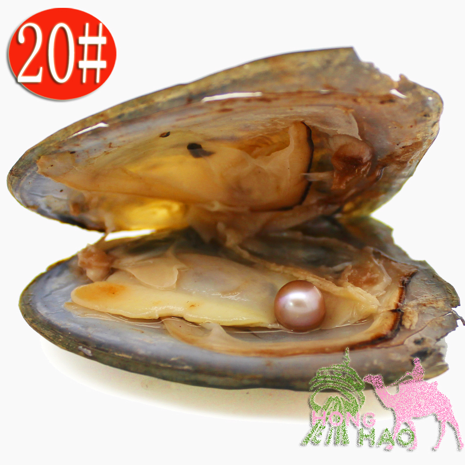 

(Free shipping by dhl 2-5 days) wholesale AAAA6-7mm vacuum packed freshwater pearl oyster, pearl color is 20# natural purple