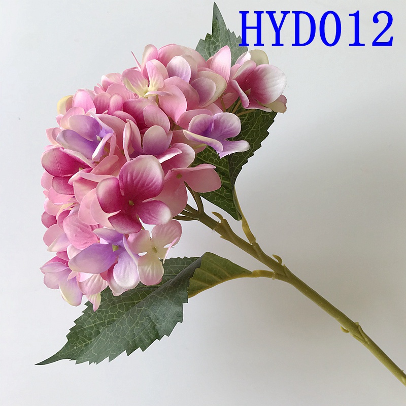 HYD012