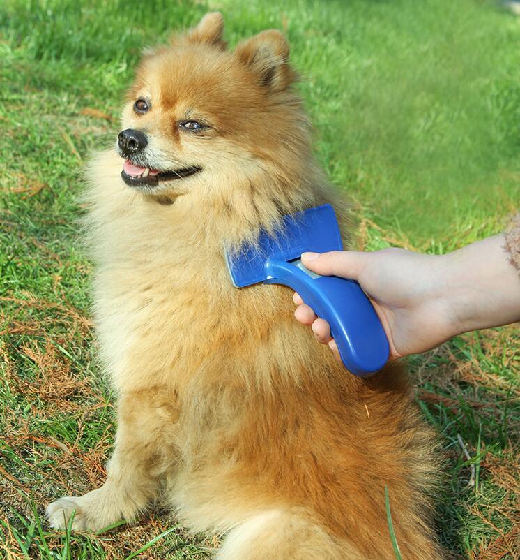 2019 Pet Brush Dog Cat Comb Hair Removal Long Hair Short Hair Dog