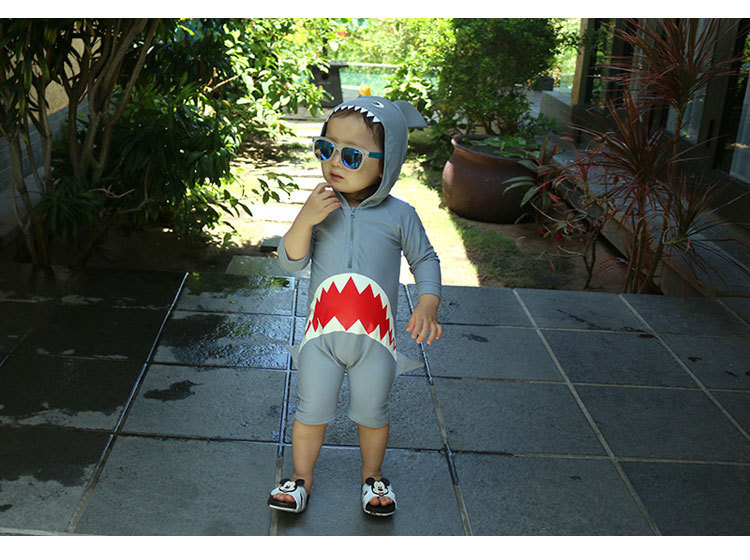 shark