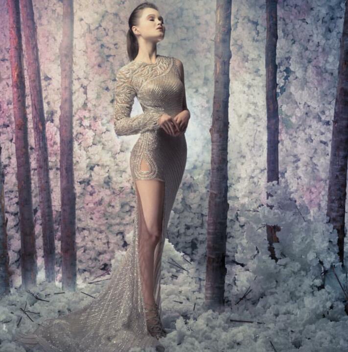 

Evening dress 2018 Charbel zoe Yousef aljasmi Kim kardashian Long sleeve Crystal Beaded Mermaid Almoda gianninaazar ZuhLair murad Ziadnakad, Same with picture