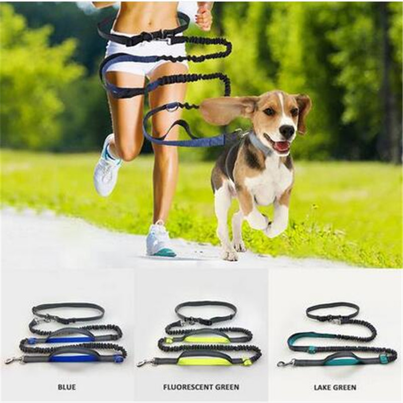

Wholesales Reflective Hands Dog Lead Running Jogging Waist Belt Training Bungee Leash Dog Collars & Leashes