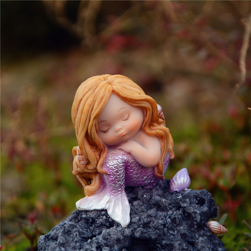 2019 New Everyday Collection Miniature Fairy Garden And Terrarium