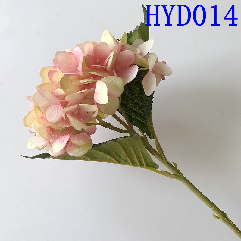 HYD014
