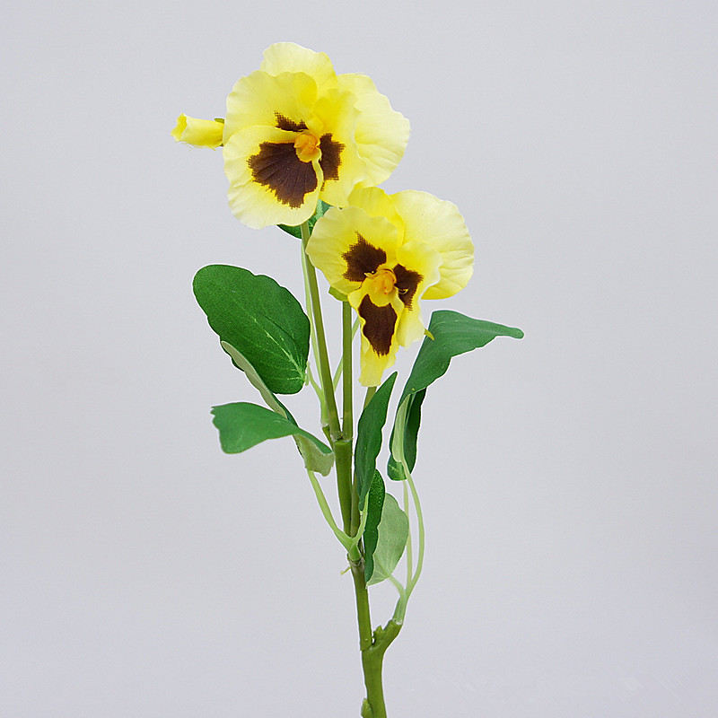 Acheter Artificielle Pensée Fleurs De Soie Moth Phalaenopsis Orchid Arrangement Pour Le Bureau à La Maison De Mariage Décoration Flore Artificielle