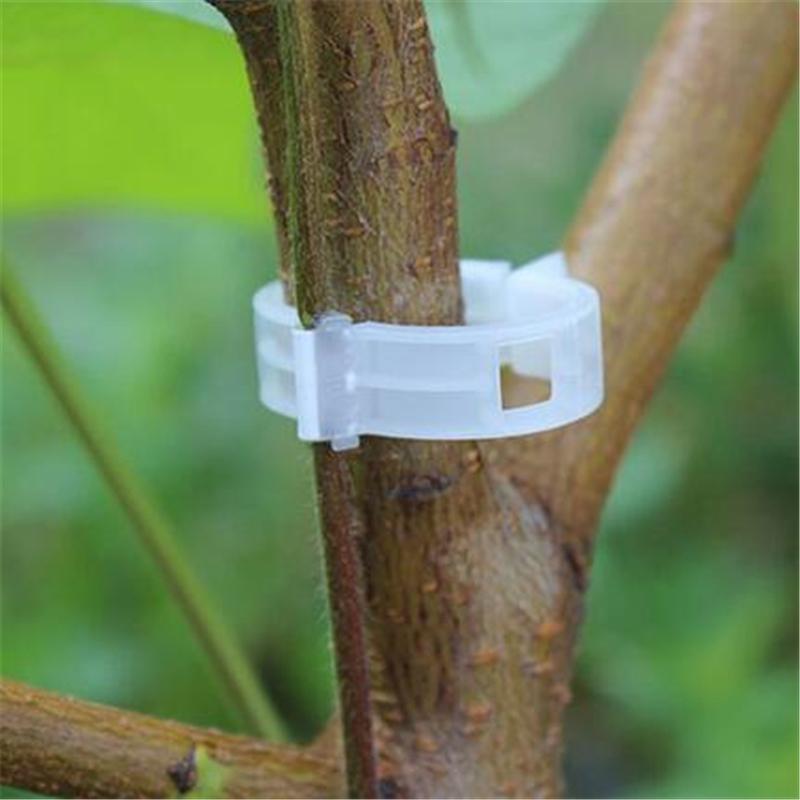 

50pcs-pack Quality Durable Plastic Sling Clips Fastener Plant Tomato Vegetable Bush Tendril Binder Farming Clip jt012