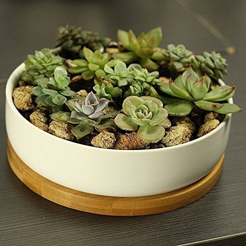 

Modern White Ceramic Round Succulent Cactus Planter Pot with Drainage Bamboo Tray,Decorative Garden Flower Holder Bowl