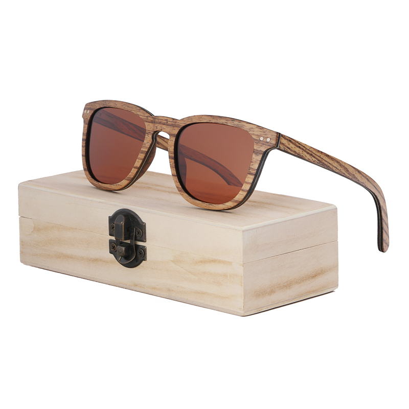 brown lens with case3