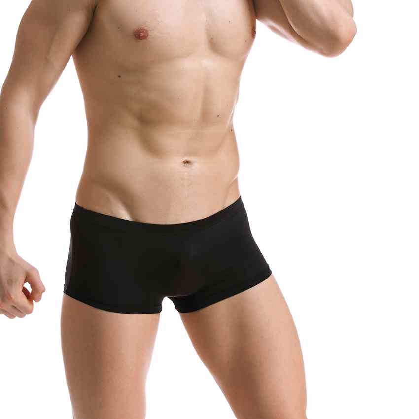 

2016 Sexy Underwear Men panties Men's Boxer Shorts Bulge Pouch Soft Underpants Slip Homme Sexy Calzoncillos M-XXL, Brown