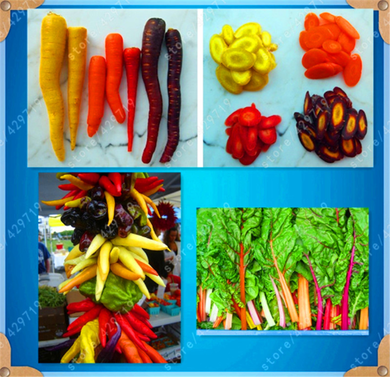 

Rainbow Vegetable Seeds Tomato Carrot Chinese Cabbage Pepper 4 Kinds Of Rainbow Vegetable a Pack 100 Pcs