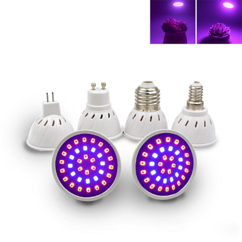 Grow Light Vollspektrum 200 Watt Led Vollspektrum Pflanze Wachsen Led