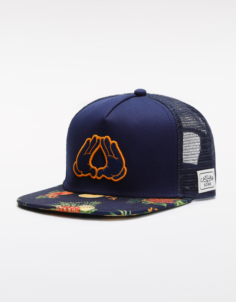 

free shipping cheap high quality hat classic fashion hip hop brand man woman mesh snapbacks navy/mc C&S WL BK FRUITS TRUCKER CAP