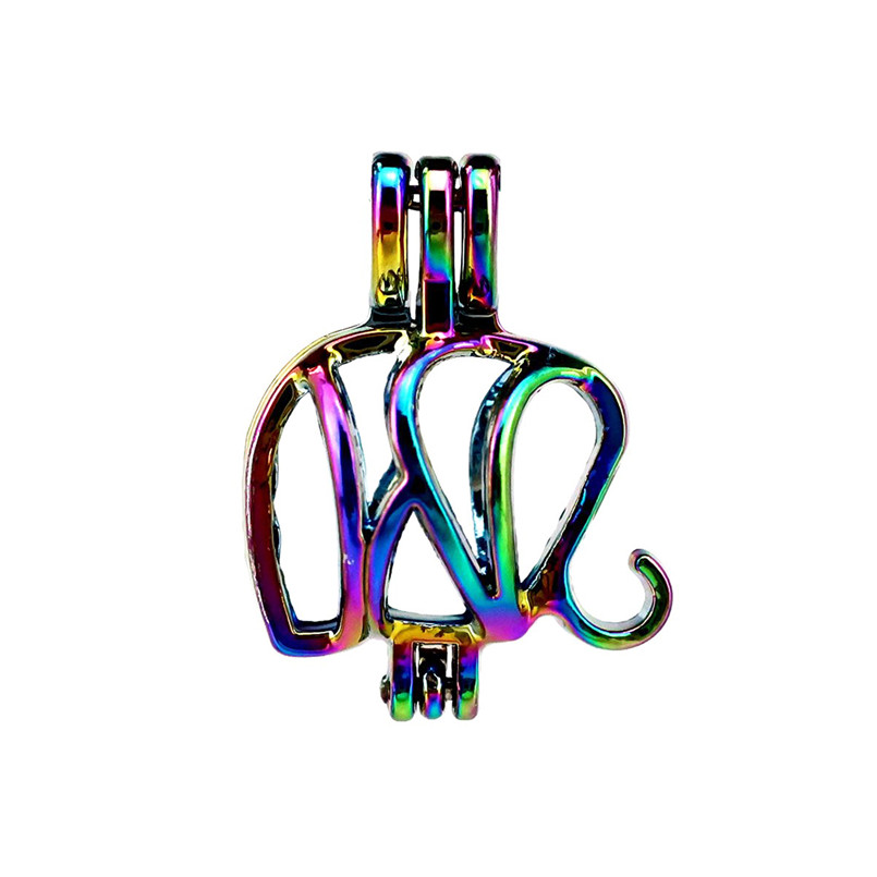 

10pcs/lot Rainbow Color Cute Elephant Pearl Beads Cage Locket Pendant Diffuser Aromatherapy Perfume Essential Oils Diffuser Floating Pom, Silver