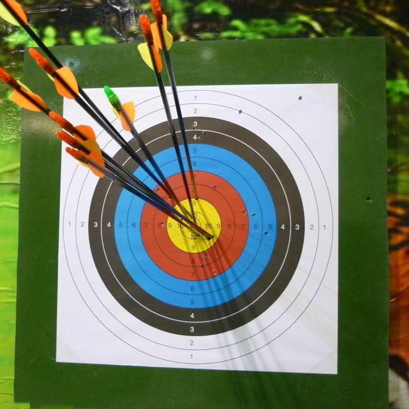 archery target arrows for sale