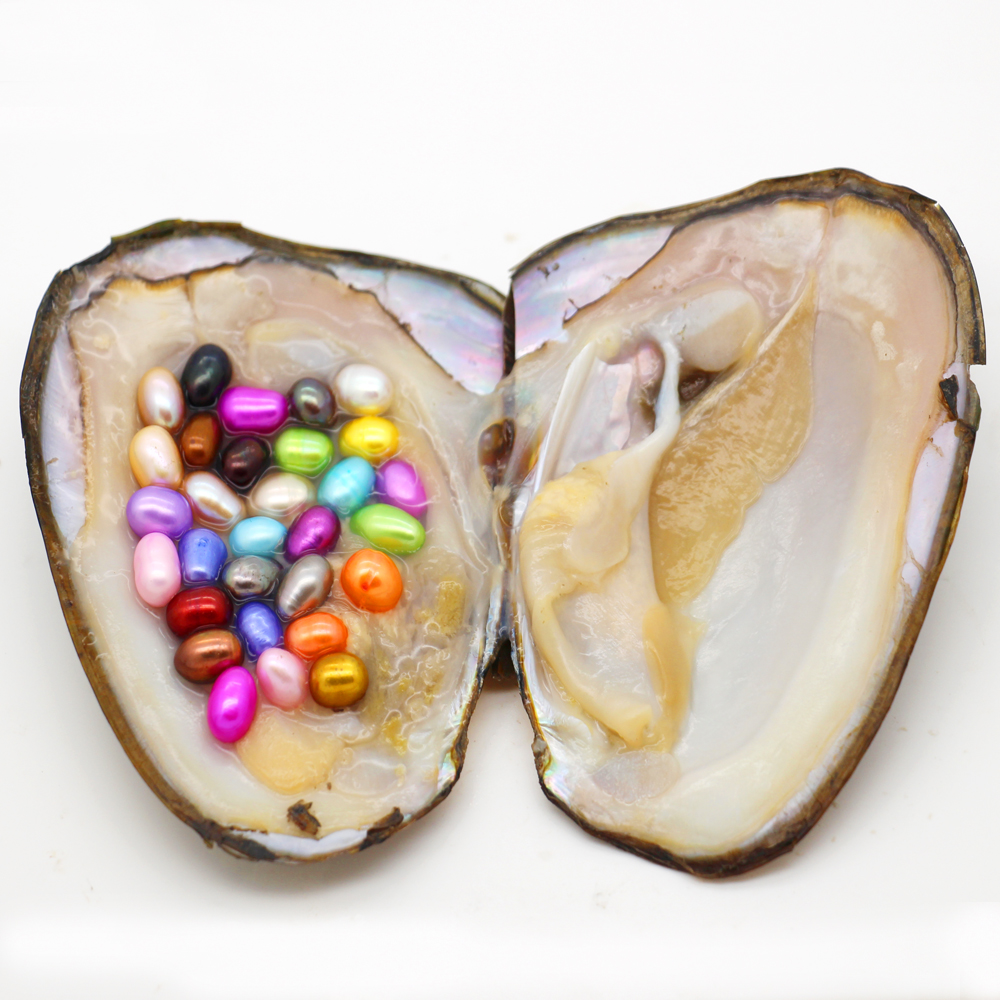 

Wholesale Latest Vacuum Packaging Oval Blended Oyster Pearl, 30 Color Pearls in Oyster, Vacuum Packed (Free Shipping)