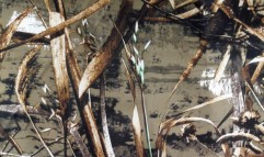 Camouflage