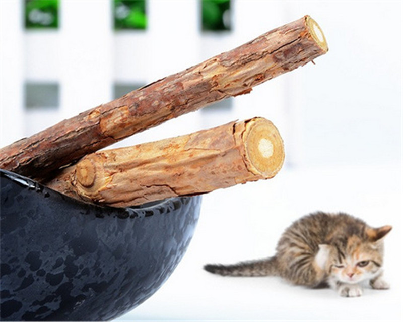 

5PCS Cat cleaning teeth Pure natural catnip pet cat molar Toothpaste stick silvervine actinidia cat snacks sticks tooth care