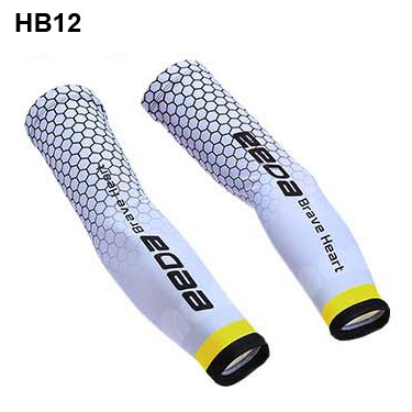 HB12