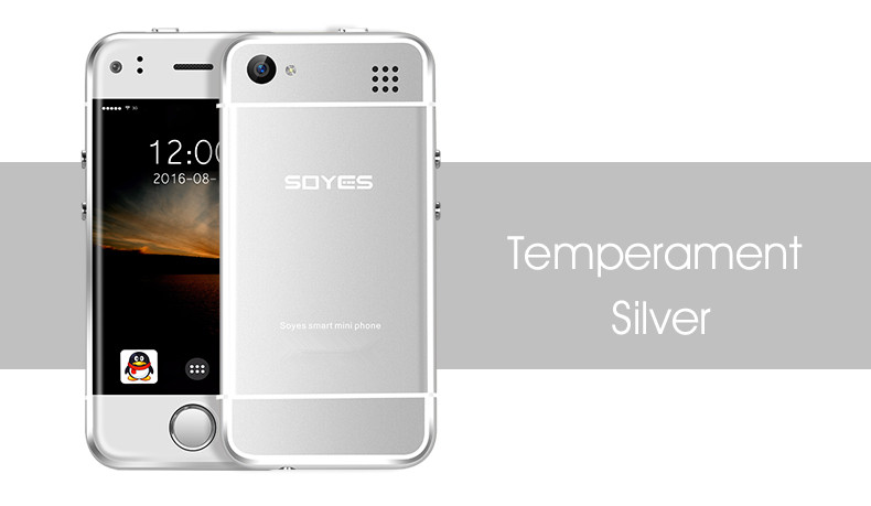 6S Silver