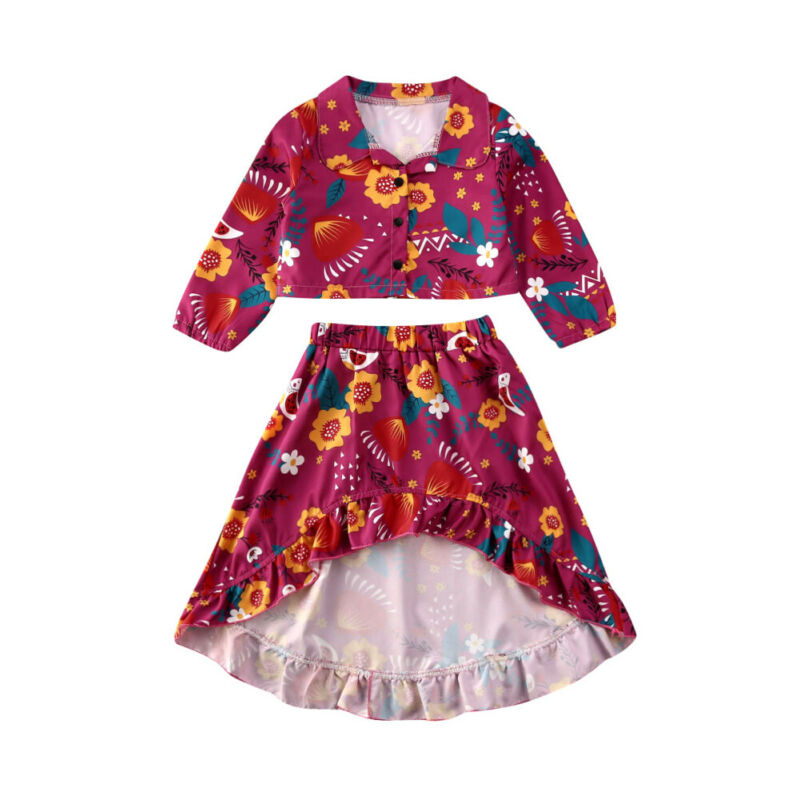 

2PCS Kids Baby Girl Clothes Long Sleeve Floral Vest Tops Tutu Swing Dress Outfit, As pic