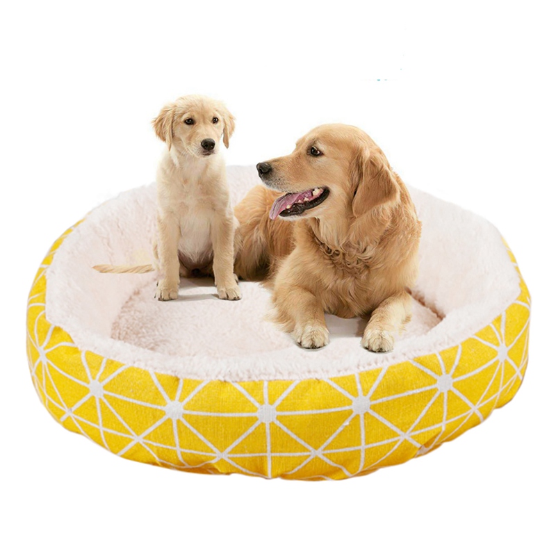 extra small puppy beds