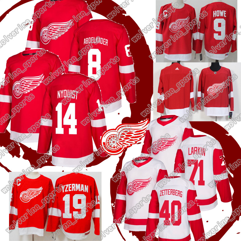 dylan larkin jersey for sale