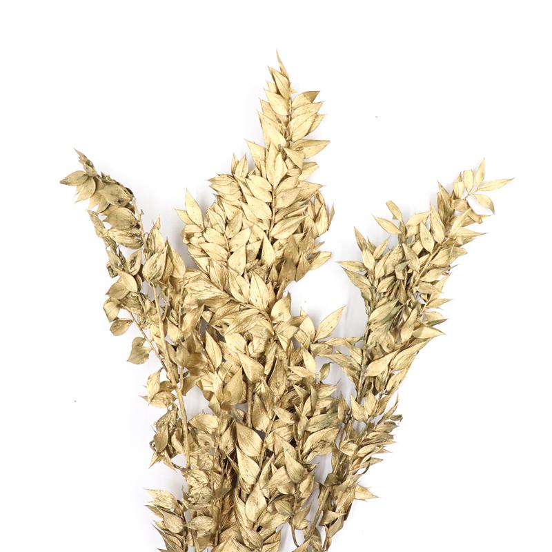 

The most Popular Dracaena Sanderiana handmade decoration dried flowers stem branches rich leaves decorations for Christmas, Green