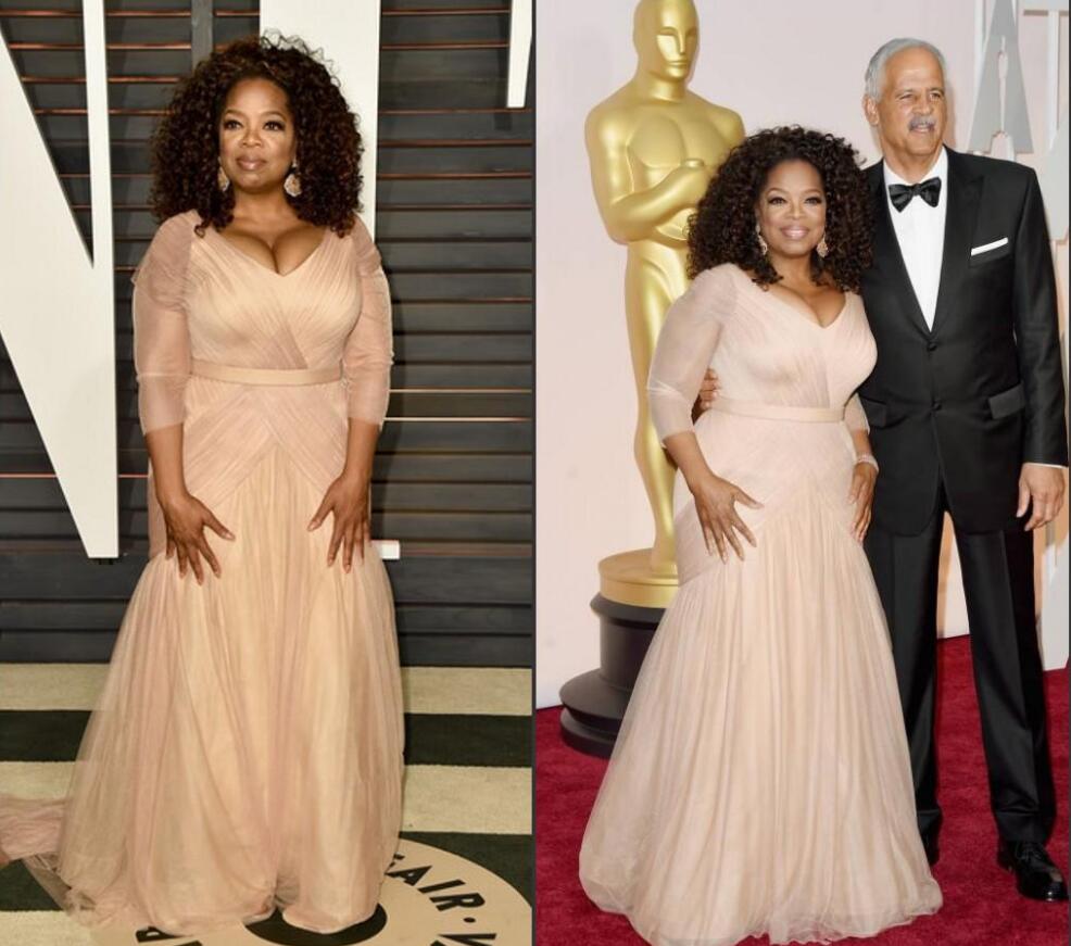 

2019 Elegant Oprah Winfrey Celebrity Evening Dresses plus size v neck sheath chiffon with long sleeves mother of bride groom dresses