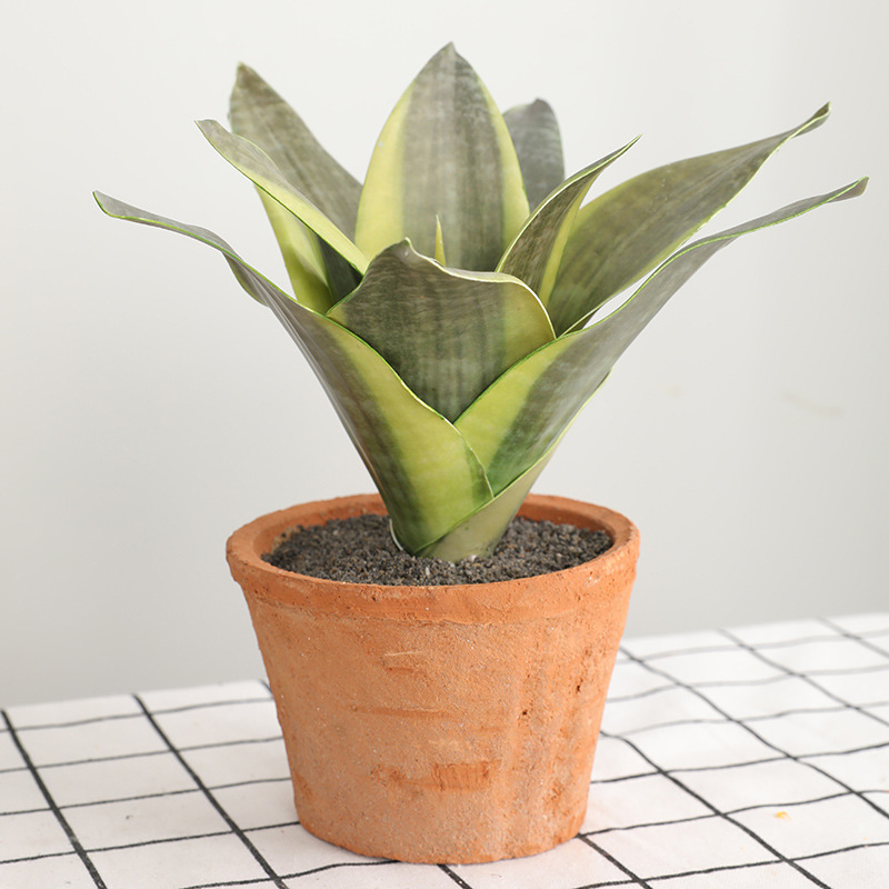 

Cilected 3Pcs/Lot Artificial Plants Sansevieria Branch For Bonsai Decoration Fake Plastic Tiger Piran Leaves Plants Home Décor, A2